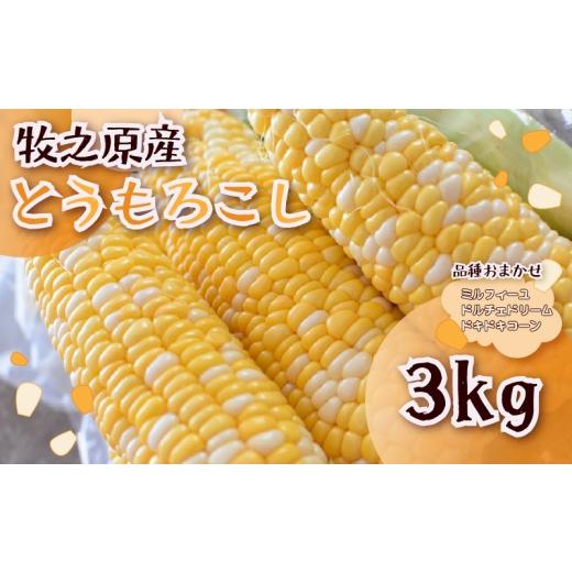 ふるさと納税 野菜類 静岡県 牧之原市 2026年6月より順次発送 とうもろこし 品種 おまかせ 10 本 約 3 kg ミルフィーユ ドルチェドリーム どきどきコーン 糖…