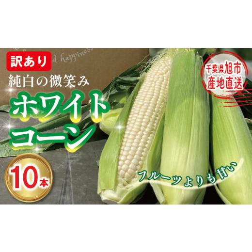 ふるさと納税 とうもろこし 千葉県 旭市 先行予約 訳あり 白 とうもろこし 10本 ホワイトコーン 2026年7月中旬〜発送開始予定 数量限定 期間限定 ジューシー …