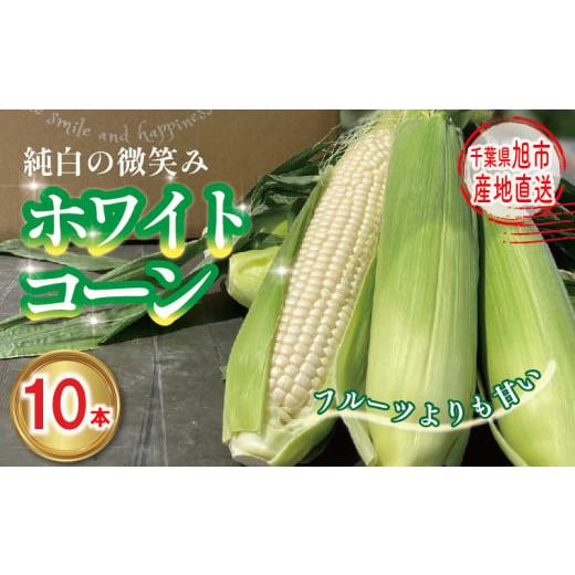 ふるさと納税 とうもろこし 千葉県 旭市 先行予約 白 とうもろこし 10本 約3.2kg〜4.8kg ホワイトコーン 2026年7月中旬〜発送開始予定 数量限定 期間限定 ジ…