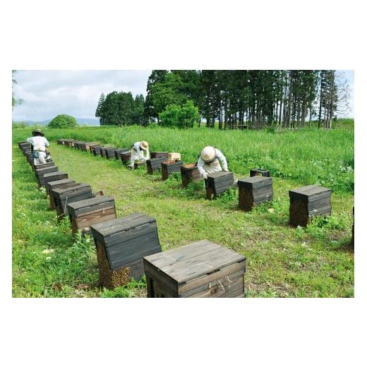 ふるさと納税 加工品等 はちみつ 秋田県 横手市 けんぽなしはちみつ 1200g_4
