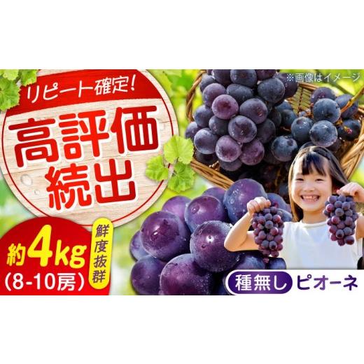 ふるさと納税 果物類 ぶどう 広島県 福山市 期間限定/8月下旬〜9月上旬頃発送 沼隈ぶどう「ピオーネ」 約2kg×3 12〜15房(種なし) 広島県福山市/福山市農…