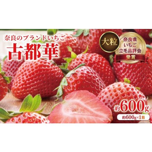 ふるさと納税 セット・詰合せ 奈良県 奈良市 いちご ことか 大粒 約600g 1箱 約11~12粒 2027年発送 奈良県いちご立毛品評会受賞 古都華 数量限定 季節限定 産…