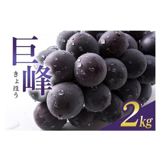 ふるさと納税 ぶどう 巨峰 茨城県 石岡市 2026年 先行予約 巨峰 2kg ( 種あり ) 石田ぶどう園 5房 〜 9房 ぶどう ブドウ 国産 果物 くだもの 葡萄 フルーツ 2…