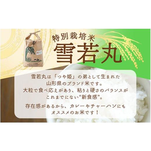 ふるさと納税 米 山形県 庄内町 新米受付 令和8年産 特別栽培米 雪若丸 10kg 石垣農園 5kg×2袋 2026年産 ブランド米 米 国産 単一原料米 山形 庄内平野 コシ…_2