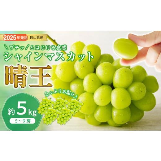 ふるさと納税 ぶどう マスカット 岡山県 備前市 2025年発送分 先行受付スタート 岡山県産シャインマスカット「晴王」 秀品 大房 (約5kg・5〜9房程度)(…