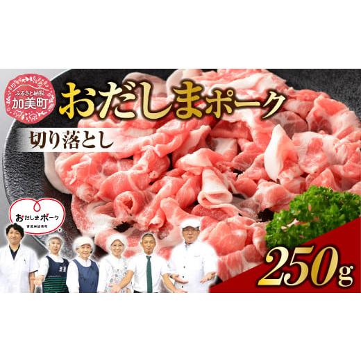 ふるさと納税 豚肉 バラ 宮城県 加美町 250g 宮城県産ブランド豚 豚肉 おだしまポーク 切り落とし 肉 国産 冷凍 小分け 小間切れ 選べる 宮城県産 ブランド豚…