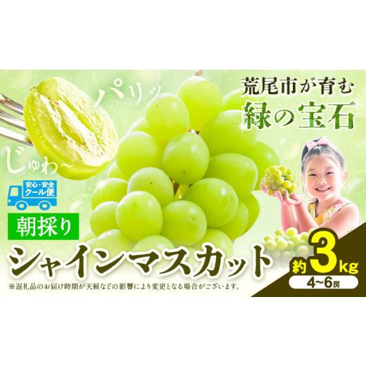 ふるさと納税 ぶどう マスカット 熊本県 荒尾市 先行予約 マスカット シャインマスカット 朝採り シャインマスカット 約3kg 4〜6房 前田果樹園[8月下旬-9月…