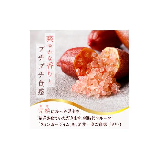ふるさと納税 みかん・柑橘類 岐阜県 可児市 フィンガーライム 150g