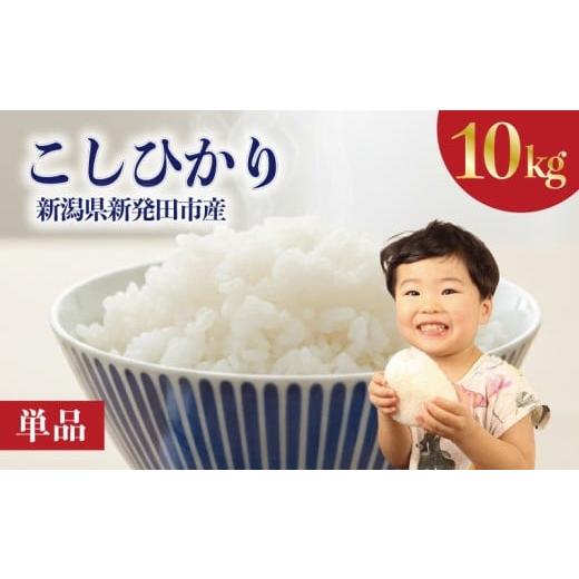 ふるさと納税 米 コシヒカリ 新潟県 新発田市 単品 コシヒカリ 10kg 新潟県 米 こめ 白米 ご飯 おにぎり こしひかり 新発田産 新発田市 新潟 野口政一商店 no…