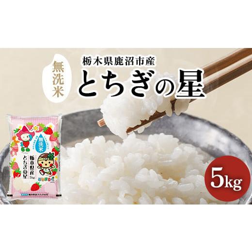 ふるさと納税 無洗米 栃木県 鹿沼市 先行予約 令和7年産 数量限定 栃木県鹿沼市産 とちぎの星 無洗米 5kg 令和6年産 令和7年産 | 水稲うるち精米 単一原料米 …