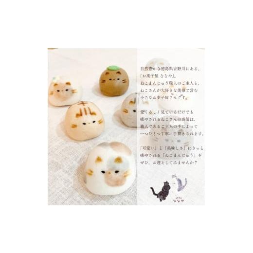 ふるさと納税 和菓子 和菓子セット・詰め合わせ 徳島県 吉野川市 和菓子 上用まんじゅう ねこさん セット 選べる 容量 8個 冷凍便 和菓子 ギフト 贈り物 記念…_2