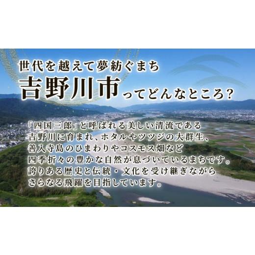 ふるさと納税 和菓子 和菓子セット・詰め合わせ 徳島県 吉野川市 和菓子 上用まんじゅう ねこさん セット 選べる 容量 8個 冷凍便 和菓子 ギフト 贈り物 記念…_5