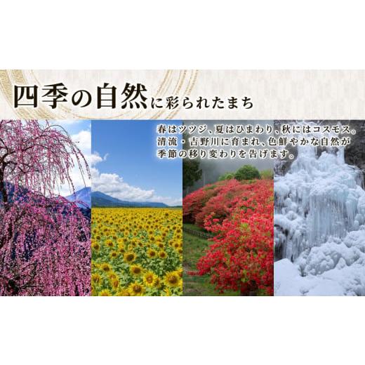 ふるさと納税 和菓子 和菓子セット・詰め合わせ 徳島県 吉野川市 和菓子 上用まんじゅう ねこさん セット 選べる 容量 8個 冷凍便 和菓子 ギフト 贈り物 記念…_7