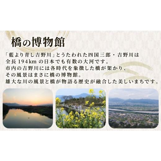 ふるさと納税 和菓子 和菓子セット・詰め合わせ 徳島県 吉野川市 和菓子 上用まんじゅう ねこさん セット 選べる 容量 8個 冷凍便 和菓子 ギフト 贈り物 記念…_8