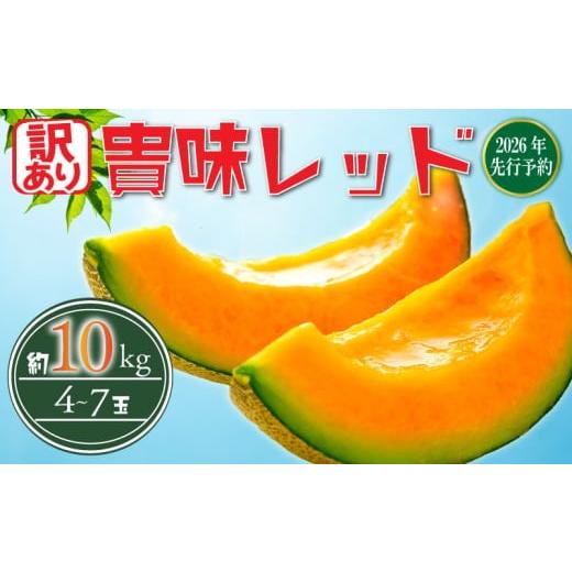 ふるさと納税 メロン メロン赤肉 千葉県 旭市 2026 年発送 &lt; 訳あり メロン &gt; 先行予約 貴味 赤肉 レッド 約10kg 以上 (2〜6L) (約4〜7玉) めろん melo…