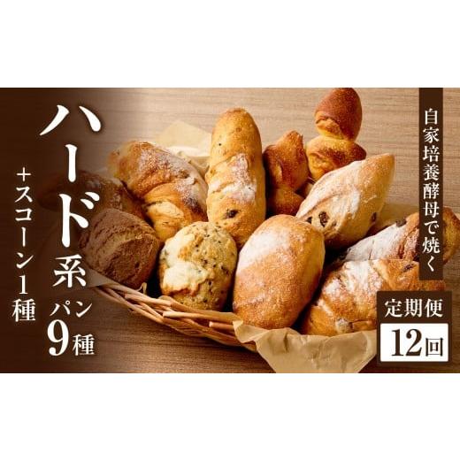 ふるさと納税 パン 京都府 木津川市 全12回定期便 自家培養酵母で焼くハード系パン9種+スコーン1種セット ハード系 パン スコーン 自然素材「Boulangerie Fa…