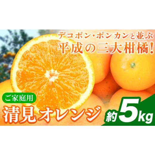 ふるさと納税 みかん・柑橘類 オレンジ 和歌山県 日高川町 ご家庭用訳アリ 紀州有田産清見オレンジ 約5kg 株式会社魚鶴商店[2026年3月下旬-4月中旬頃出荷] …