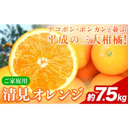 ふるさと納税 みかん・柑橘類 オレンジ 和歌山県 日高川町 ご家庭用訳アリ 紀州有田産清見オレンジ 約7.5kg 株式会社魚鶴商店[2026年3月下旬-4月中旬頃出荷…