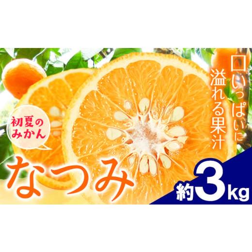 ふるさと納税 果物類 みかん 和歌山県 日高川町 先行予約 初夏のみかん なつみ 約 3kg 株式会社 魚鶴商店[2026年4中旬-4月下旬頃出荷] 和歌山県 日高川町 …