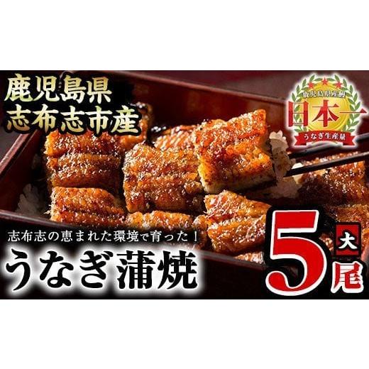 ふるさと納税 うなぎ 鹿児島県 志布志市 うなぎの大楠 大 5尾セット計750g(150g×5尾) うなぎ 鰻 ウナギ 国産 九州産 蒲焼き かばやき 冷凍 うな重 ひつまぶし…