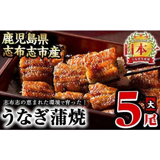 ふるさと納税 うなぎ 鹿児島県 志布志市 うなぎの大楠 大 5尾セット計750g(150g×5尾) うなぎ 鰻 ウナギ 国産 九州産 蒲焼き かばやき 冷凍 うな重 ひつまぶし…_1