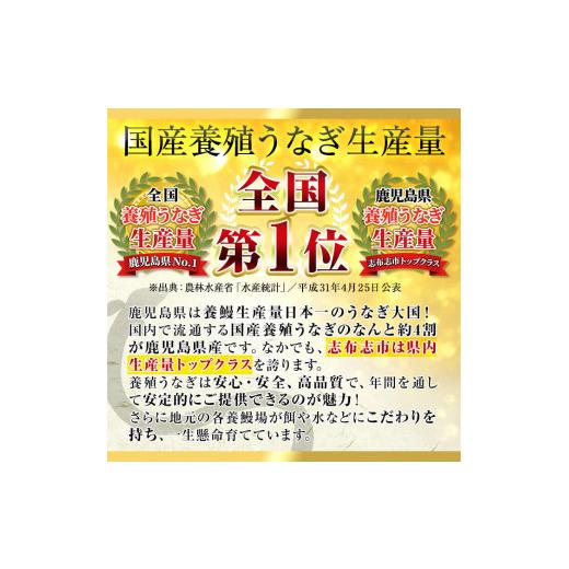 ふるさと納税 うなぎ 鹿児島県 志布志市 うなぎの大楠 大 5尾セット計750g(150g×5尾) うなぎ 鰻 ウナギ 国産 九州産 蒲焼き かばやき 冷凍 うな重 ひつまぶし…_2