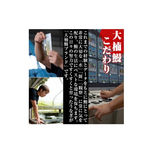 ふるさと納税 うなぎ 鹿児島県 志布志市 うなぎの大楠 大 5尾セット計750g(150g×5尾) うなぎ 鰻 ウナギ 国産 九州産 蒲焼き かばやき 冷凍 うな重 ひつまぶし…_4