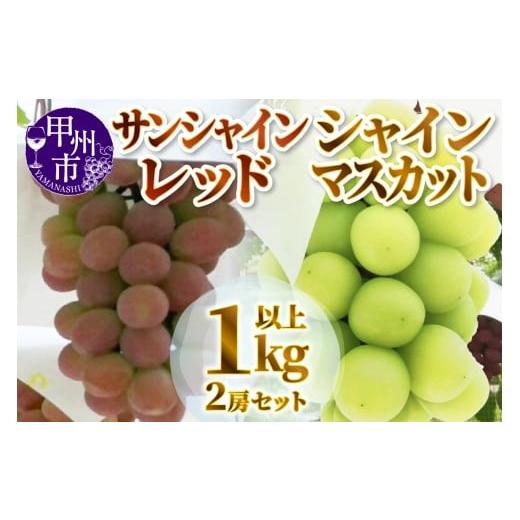 ふるさと納税 ぶどう マスカット 山梨県 甲州市 サンシャインレッド・シャインマスカット2房セット 1kg以上 2026年発送 (MG)B17-450 サンシャインレッド シ…