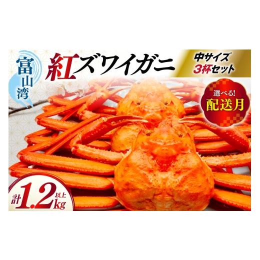 ふるさと納税 カニ ずわいガニ 富山県 朝日町 11月配送 カニ ベニズワイ 冷凍便 中サイズ 3杯 総計1.2kg以上 聖徳丸 富山県 朝日町 34310501-11m 年内配送 紅…