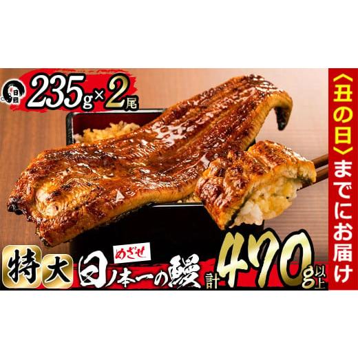 ふるさと納税 うなぎ 鹿児島県 志布志市 丑の日までに配送 日ノ本一の鰻の蒲焼き 特大 2尾セット(計470g以上) b3-010-us 丑の日配送 2尾セット計470g (235g×…