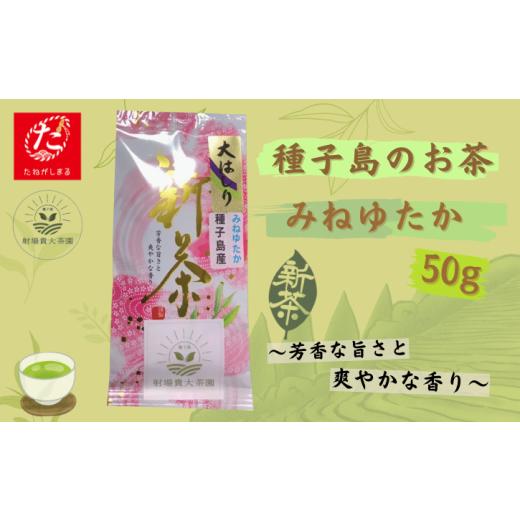 ふるさと納税 お茶類 緑茶(茶葉・ティーバッグ) 鹿児島県 西之表市 ＼ R8年産 / たねがしまる4000 希少品種「みねゆたか」 新茶 緑茶 NFN943 100pt