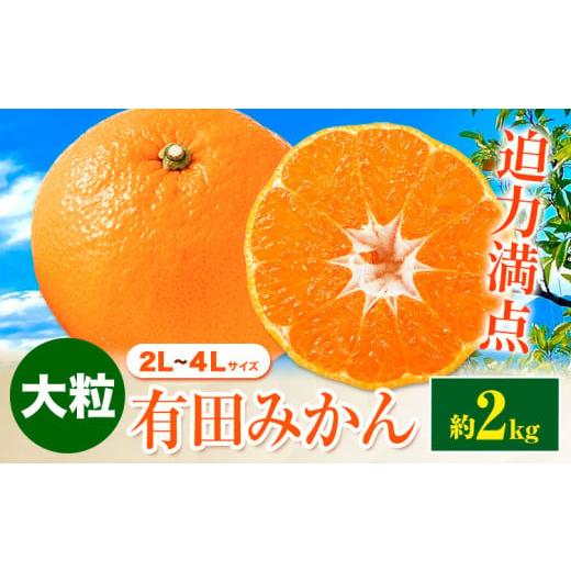 ふるさと納税 果物類 みかん 和歌山県 日高町 迫力満点 大粒 有田みかん 2L-4Lサイズ 約2kg 有田マルシェ[11月上旬-1月上旬頃出荷]和歌山県 日高町 みかん …
