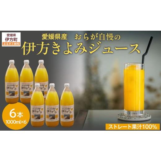ふるさと納税 果汁飲料 みかん 愛媛県 伊方町 先行予約 愛媛県産 おらが自慢の伊方きよみジュース(1000ml×6本) ストレート果汁100% 2026年4月頃より順次…