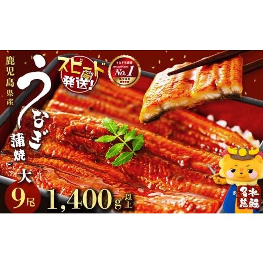 ふるさと納税 うなぎ 鹿児島県 志布志市 鹿児島県産うなぎ蒲焼 名水慈鰻 大9尾(1尾160g以上) 計1.4kg以上 e8-001 10営業日以内に発送 入金確認後、10営業日以…