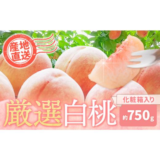ふるさと納税 もも 和歌山県 日高町 先行予約 和歌山の厳選白桃 白鳳・清水白桃・川中島白桃 等 化粧箱入り 約750g 池田鹿蔵農園[7月上旬-8月中旬頃出荷]和…