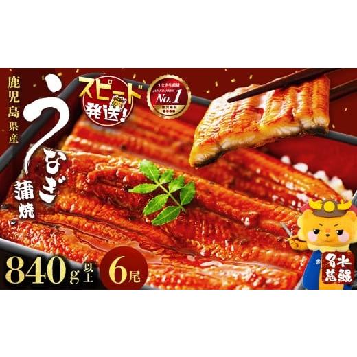 ふるさと納税 惣菜・レトルト 冷凍 鹿児島県 志布志市 鹿児島県産うなぎ蒲焼 名水慈鰻 6尾 計840g以上 うなぎ 鰻 ウナギ 6尾 国産 蒲焼 かばやき 冷凍 真空 真…
