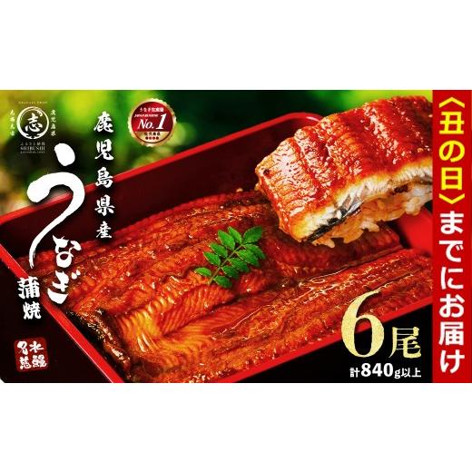 ふるさと納税 惣菜・レトルト 冷凍 鹿児島県 志布志市 丑の日までに配送 鹿児島県産うなぎ蒲焼 名水慈鰻 6尾 計840g以上 うなぎ 鰻 ウナギ 6尾 国産 蒲焼 か…