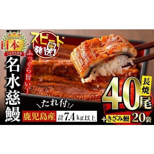 ふるさと納税 うなぎ 鹿児島県 志布志市 鹿児島県産うなぎ蒲焼 名水慈鰻 40尾(1尾約160g)+きざみ鰻20袋(1袋約50g) 合計約7.4kg wb82-001 10営業日以内に発送 …