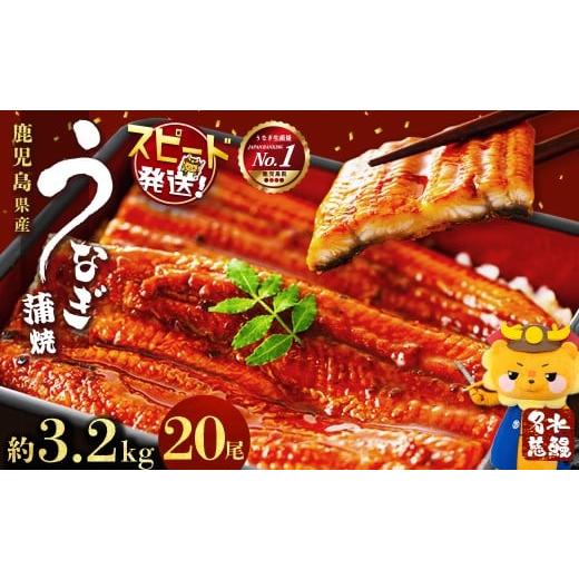 ふるさと納税 うなぎ 鹿児島県 志布志市 鹿児島県産うなぎ蒲焼 名水慈鰻 20尾(1尾約160g) 計約3.2kg wa4-001 10営業日以内に発送 入金確認後、10営業日以内に…