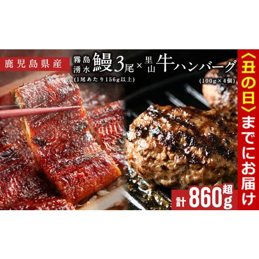 ふるさと納税 惣菜・レトルト 冷凍 鹿児島県 志布志市 丑の日までに配送 鹿児島県産 霧島湧水鰻3尾(1尾156g)×里山牛100%手作りハンバーグ4個(1個100g) (総計…