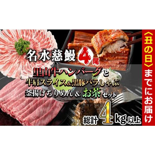 ふるさと納税 うなぎ 鹿児島県 志布志市 丑の日までに配送 名水慈鰻4尾と牛肩スライス&黒豚バラしゃぶ&釜揚げちりめん&里山牛ハンバーグ&お茶セット 総計…