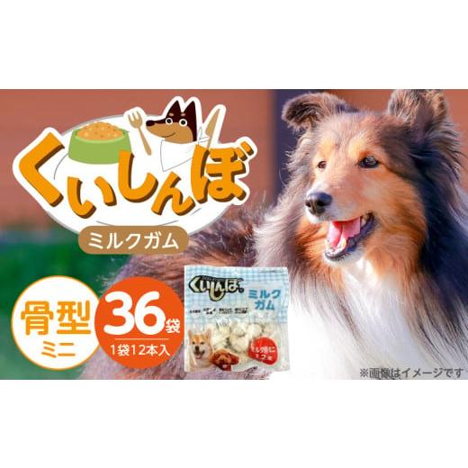 ふるさと納税 雑貨・日用品 福岡県 久留米市 くいしんぼ ミルクガム 骨型(ミニ)12本×36袋_くいしんぼ ミルクガム 36袋 骨型 ミニ 12本 × 36袋 ミルク風味 …