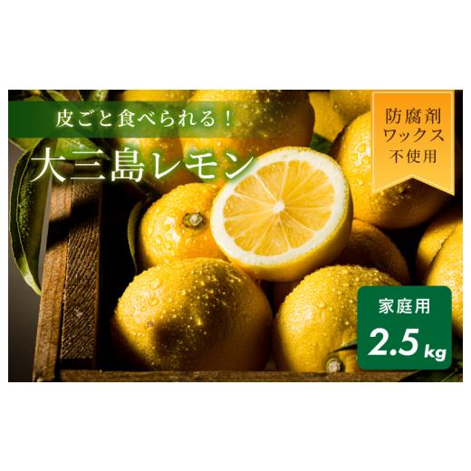 ふるさと納税 果物類 みかん 愛媛県 今治市 数量限定 ホリ田ヤ 皮ごと食べられる島育ちレモン K002450