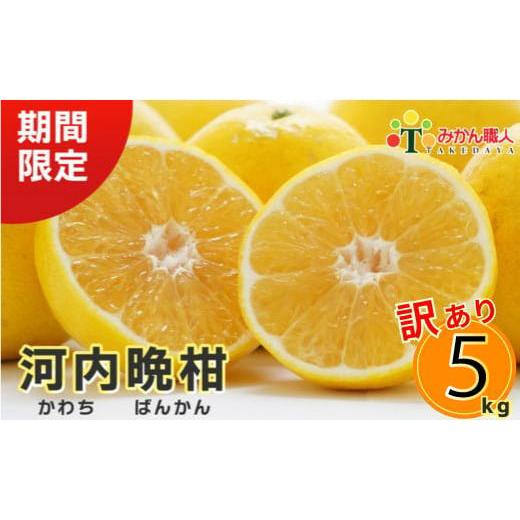 ふるさと納税 みかん・柑橘類 愛媛県 愛南町 訳あり みかん職人の河内晩柑 5kg 先行予約 (なくなり次第終了) 河内晩柑 果物 柑橘 みかん 愛南ゴールド 蜜柑 …