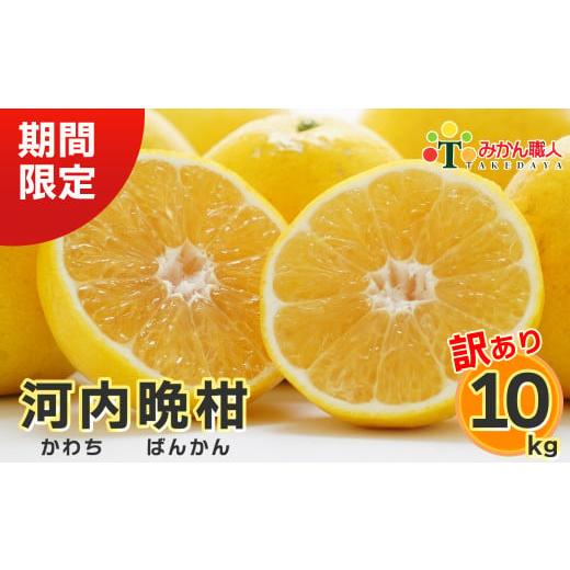 ふるさと納税 みかん・柑橘類 愛媛県 愛南町 訳あり みかん職人の河内晩柑 10kg (なくなり次第終了) 先行予約 河内晩柑 果物 柑橘 みかん 愛南ゴールド 蜜柑 …