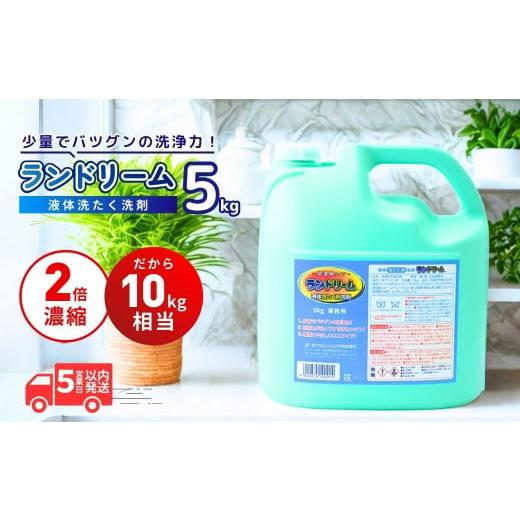 ふるさと納税 雑貨・日用品 茨城県 龍ケ崎市 選べる数量 濃縮洗濯洗剤 ランドリーム 5kg (5kg×1個) 業務用 詰め替え | 濃縮洗剤 洗濯 洗剤 液体 洗濯用洗剤 …