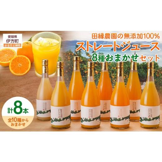 ふるさと納税 果汁飲料 みかん 愛媛県 伊方町 愛媛県産 田縁農園の無添加100% ストレートジュース8種おまかせセット 720ml 全10種 ふるさと納税 人気 ジュー…