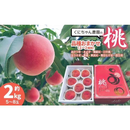 ふるさと納税 もも 山形県 鶴岡市  令和8年産先行予約 鶴岡市産 桃 (品種おまかせ) 約2kg (5〜8玉) くにちゃん農園 K-836の画像