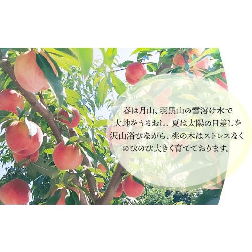ふるさと納税 もも 山形県 鶴岡市  令和8年産先行予約 鶴岡市産 桃 (品種おまかせ) 約2kg (5〜8玉) くにちゃん農園 K-836の画像