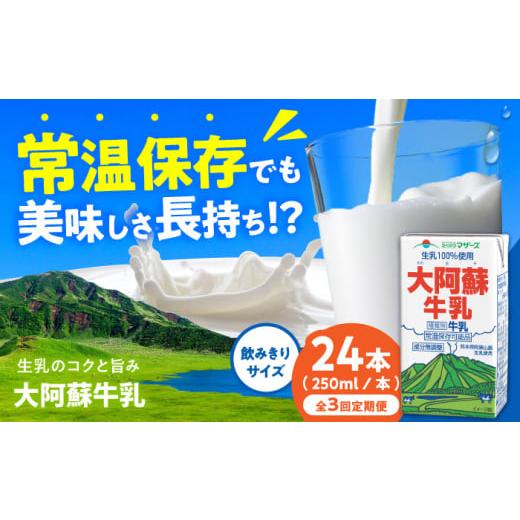 ふるさと納税 飲料類 牛乳 熊本県 合志市 全3回定期便 大阿蘇牛乳 ロングライフ 250ml 24本(12本入り×2ケース) 6L 合同会社 福福堂 成分無調整牛乳 ミルク…